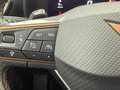 CUPRA Leon 1.5 ETSI DSG 110Kw Grigio - thumbnail 18