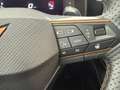 CUPRA Leon 1.5 ETSI DSG 110Kw Grigio - thumbnail 20