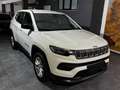 Jeep Compass Compass 1.6 mjt Business 2wd 130cv Bianco - thumbnail 1