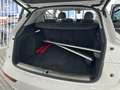 Audi Q5 40 TDI Black line quattro-ultra S tronic 140kW Blanco - thumbnail 11