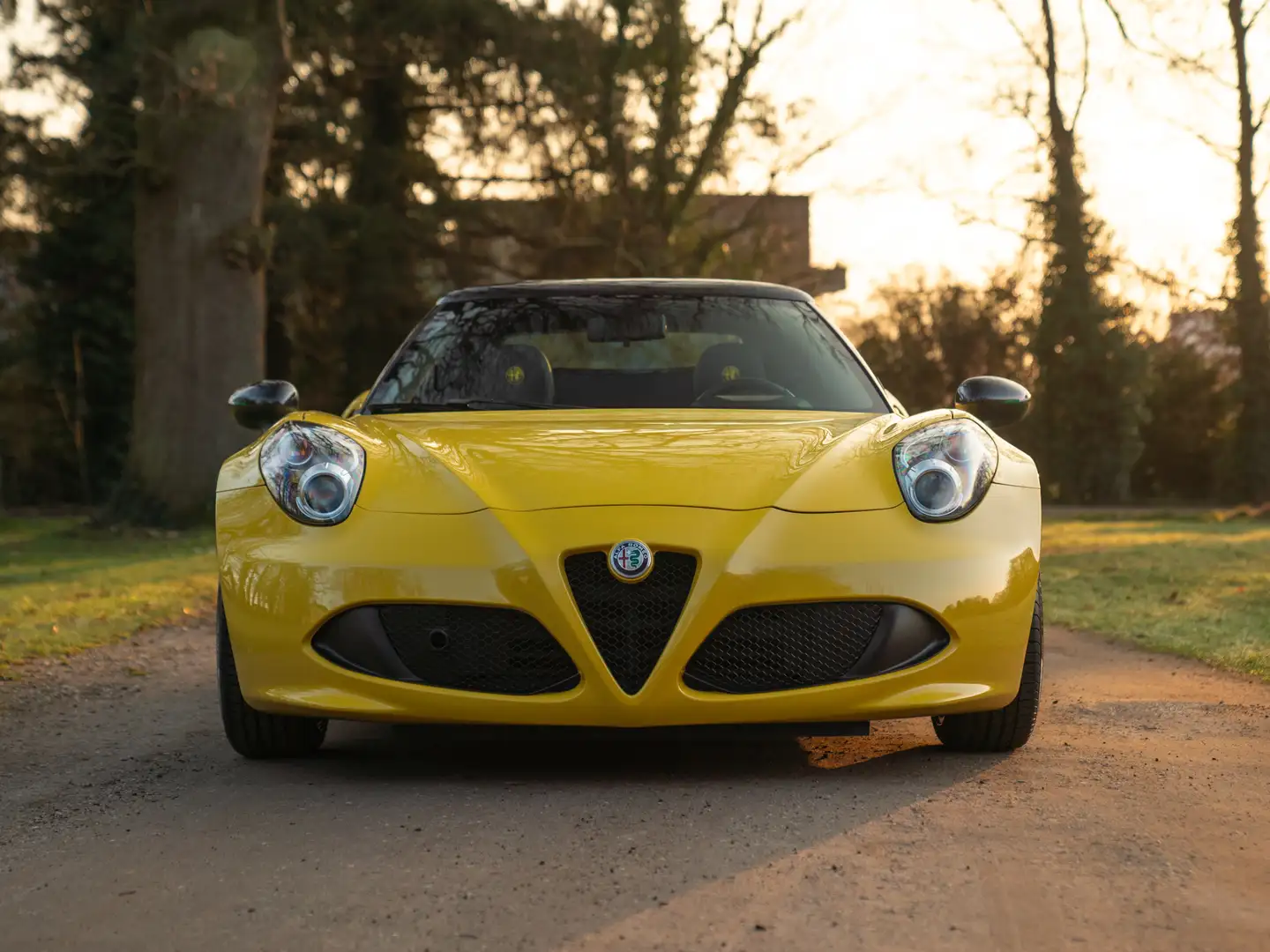 Alfa Romeo 4C Spider 1750TBI TCT | 1e eigenaar | Giallo Prototip Amarillo - 2