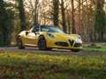 Alfa Romeo 4C Spider 1750TBI TCT | 1e eigenaar | Giallo Prototip Amarillo - thumbnail 17