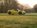 Alfa Romeo 4C Spider 1750TBI TCT | 1e eigenaar | Giallo Prototip Amarillo - thumbnail 23