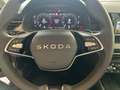 Skoda Kamiq Selection TSI DSG Gris - thumbnail 14