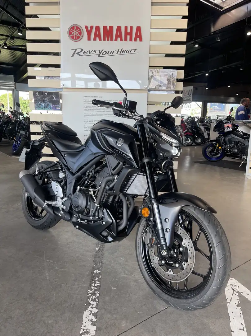 Yamaha MT-03 - 1