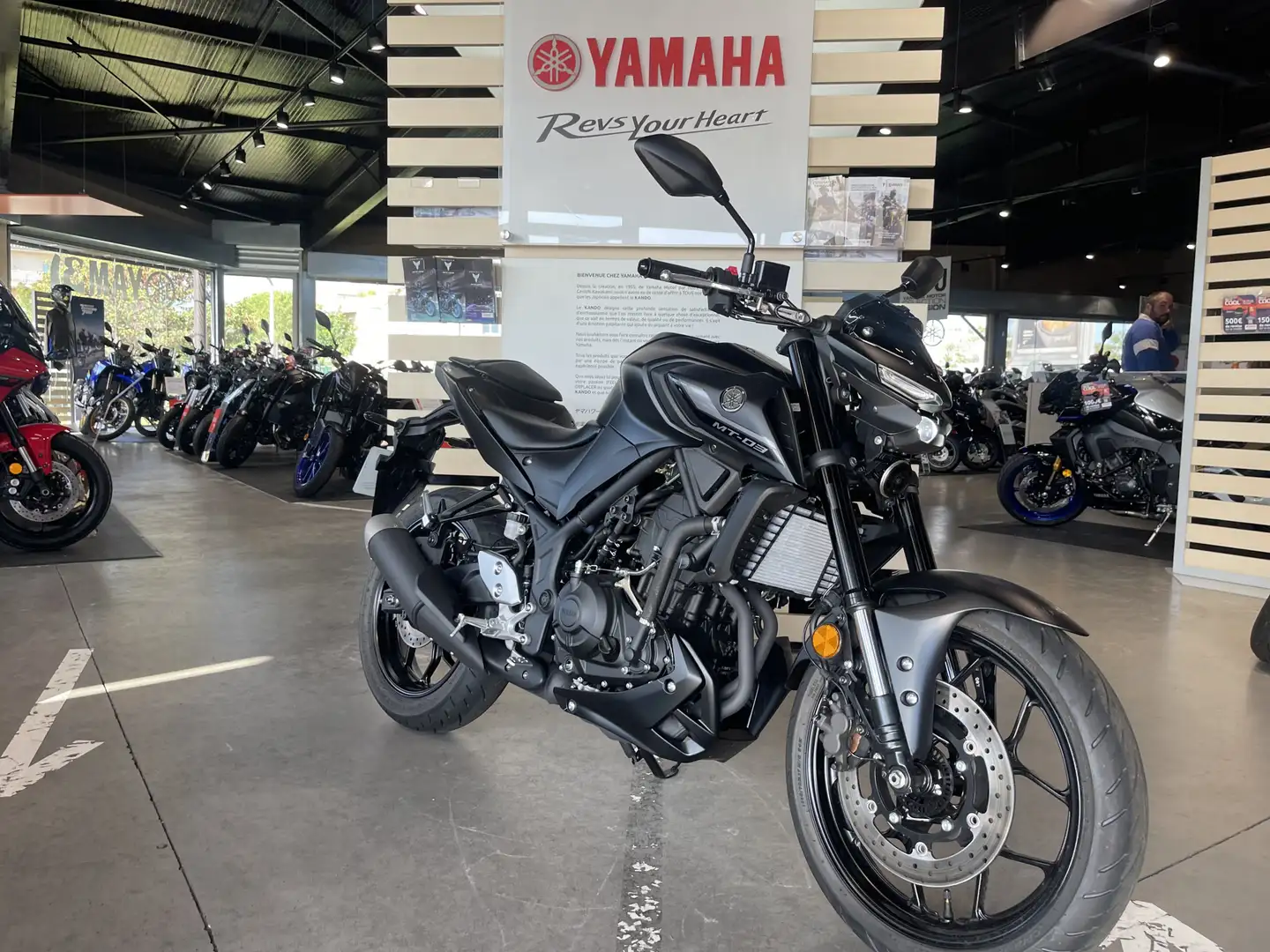 Yamaha MT-03 - 2