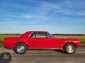 Ford Mustang USA 302 OLDTIMER V8 - thumbnail 20