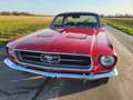 Ford Mustang USA 302 OLDTIMER V8 - thumbnail 44