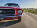 Ford Mustang USA 302 OLDTIMER V8 - thumbnail 42