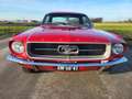Ford Mustang USA 302 OLDTIMER V8 - thumbnail 14