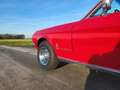 Ford Mustang USA 302 OLDTIMER V8 - thumbnail 39