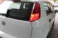 Fiat Punto MY-STYLE 4-türig mit Klimaanlage Weiß - thumbnail 6