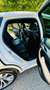 BMW X6 X6 F16 xdrive30d Msport 249cv auto Bianco - thumbnail 10