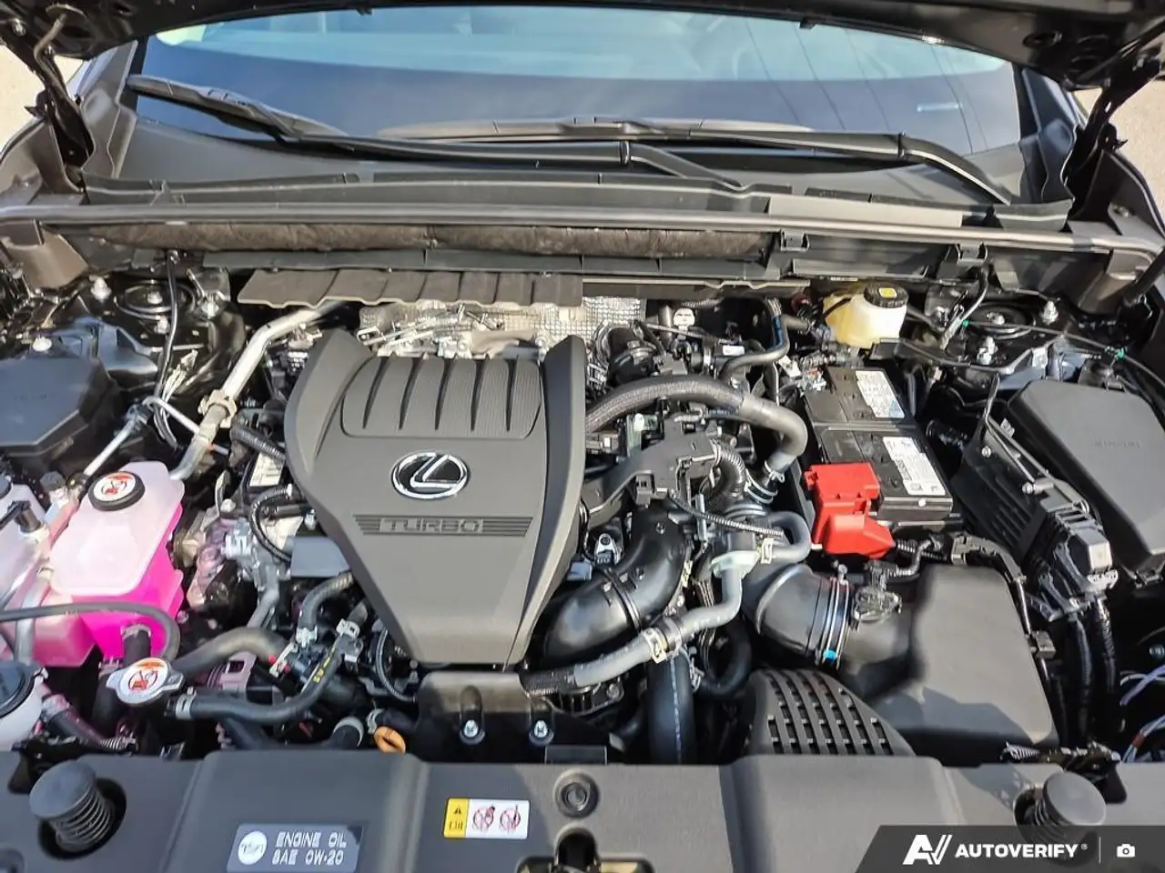 Lexus NX fotografie Lexus NX