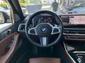 BMW X7 xDrive40d M-Paket PRO Aut. / Iconic Glow / Pano... Grün - thumbnail 24
