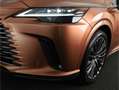 Lexus RX 450h 450h+ Plug-in Hybrid President Line Limited | Afne Bruin - thumbnail 41