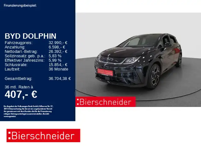 BYD Dolphin