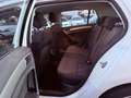 Volkswagen Golf Golf VII 2013 5p 1.6 tdi Highline Weiß - thumbnail 10