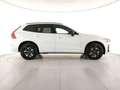 Volvo XC60 T6 Plug-in hybrid AWD aut Ultra Black Edition Bianco - thumbnail 6