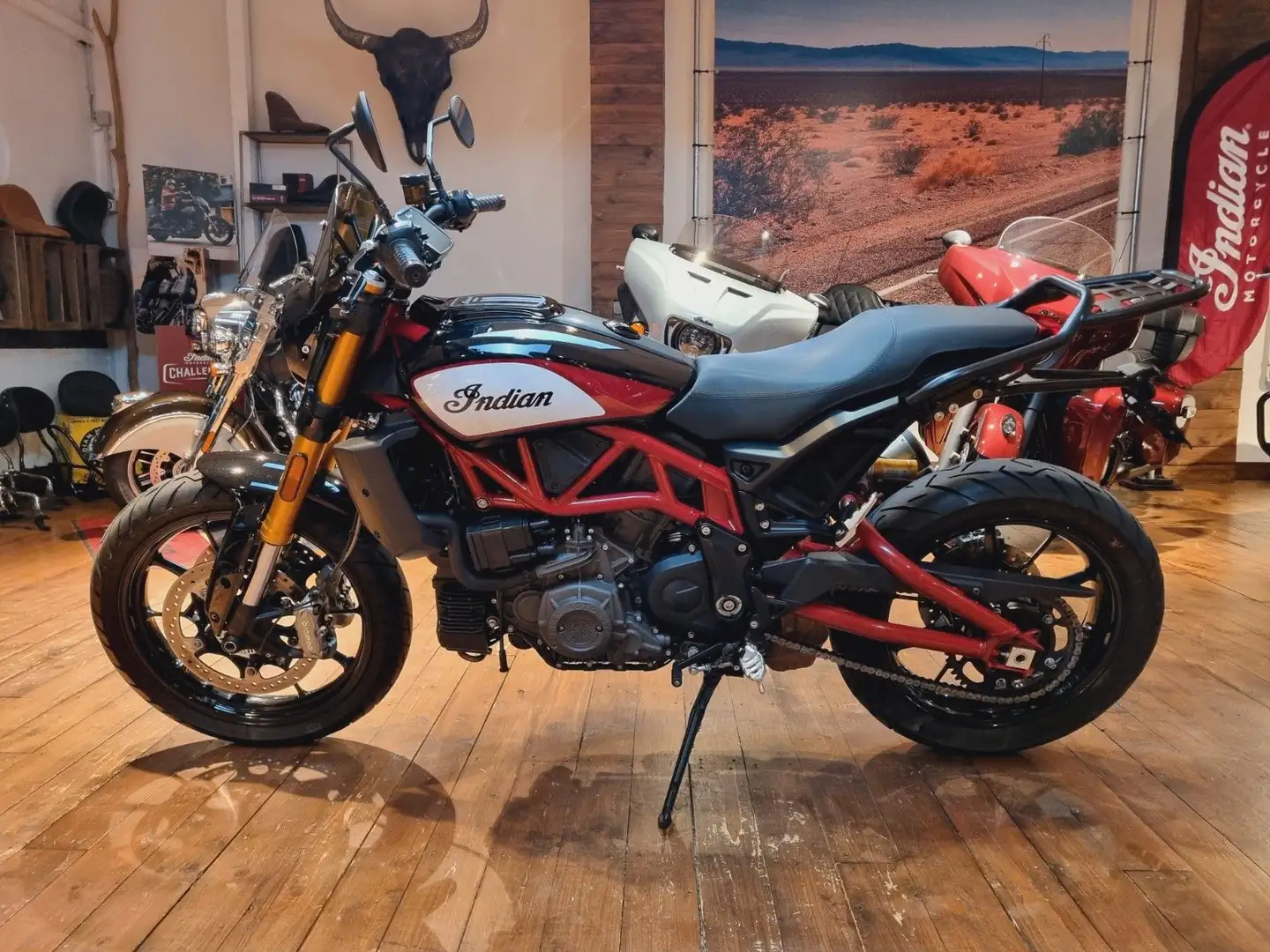 Indian FTR  Race Replica "Extras"100 Jahre (250/4,99 %) Rouge - 1