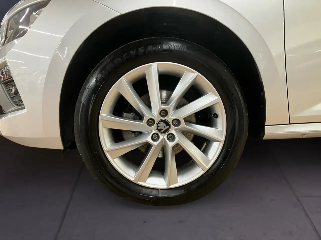 Skoda Kamiq 1.0 TSI DSG Selection LED SHZ Rfk 7