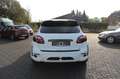 Hamann Hamann Guardian EVO Weiß - thumbnail 6