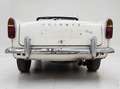 Triumph TR4 '62 CH3061L Blanc - thumbnail 13