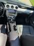 Ford Mustang Mustang 5,0 Ti-VCT V8 GT Cabrio Aut. GT Grau - thumbnail 9