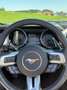 Ford Mustang Mustang 5,0 Ti-VCT V8 GT Cabrio Aut. GT Grau - thumbnail 10