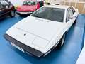 Lotus Esprit S1/S2 Wit - thumbnail 3