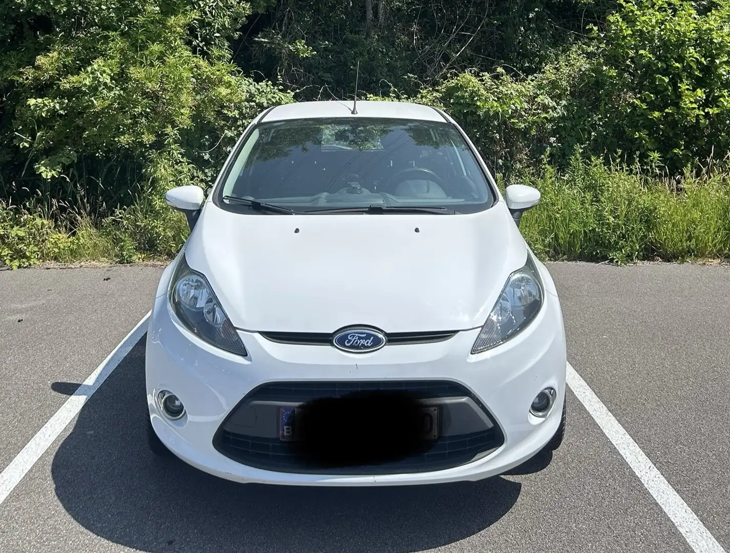 Ford Fiesta 2013 met keuring - 2