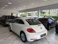 Volkswagen Beetle Design BlueMotion 1,2 TSI 105 PS Weiß - thumbnail 7