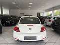 Volkswagen Beetle Design BlueMotion 1,2 TSI 105 PS Weiß - thumbnail 6