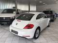 Volkswagen Beetle Design BlueMotion 1,2 TSI 105 PS Weiß - thumbnail 5