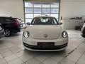 Volkswagen Beetle Design BlueMotion 1,2 TSI 105 PS Weiß - thumbnail 2