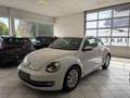 Volkswagen Beetle Design BlueMotion 1,2 TSI 105 PS Weiß - thumbnail 4