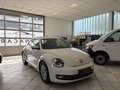Volkswagen Beetle Design BlueMotion 1,2 TSI 105 PS Weiß - thumbnail 1