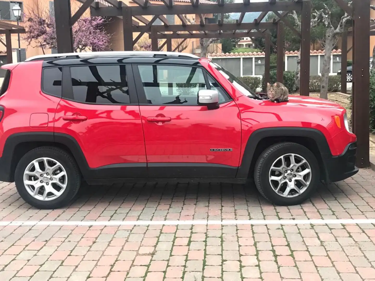 Jeep Renegade 1.4 Multiair Limited 4x2 103kW Rojo - 2
