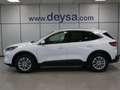Ford Kuga Titanium 2.5 Duratec FHEV 140kW 4x4 Auto Blanco - thumbnail 2