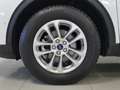 Ford Kuga Titanium 2.5 Duratec FHEV 140kW 4x4 Auto Blanco - thumbnail 6