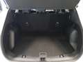 Ford Kuga Titanium 2.5 Duratec FHEV 140kW 4x4 Auto Blanco - thumbnail 22
