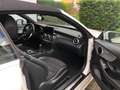 Mercedes-Benz C 200 C 200 Cabrio AMG Line White - thumbnail 10