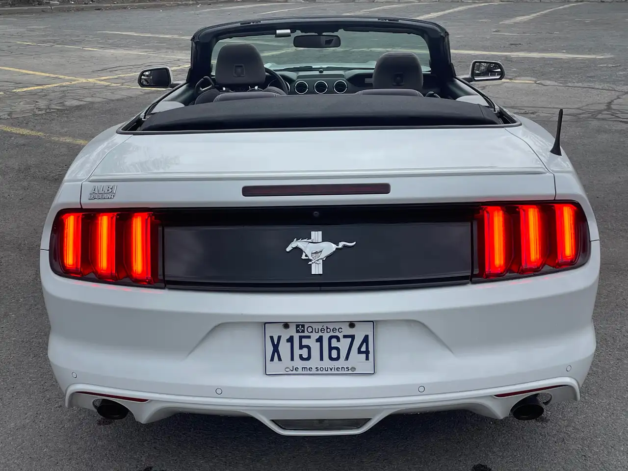 Ford Mustang fotografie Ford Mustang
