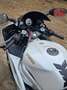 Yamaha YZF-R6 RJ03 Blanc - thumbnail 5