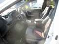Toyota RAV4 2,5 Phev Active Weiß - thumbnail 6