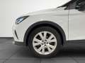 SEAT Arona 1.0 TSI S&S X-Perience Special Edition DSG7 115 Blanco - thumbnail 9