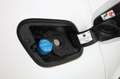 Renault Scenic 1.7 BLUE dCi Zen Blanc - thumbnail 22
