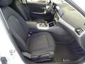 BMW 318 318dA Blanco - thumbnail 24