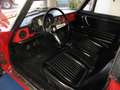 Alfa Romeo Spider 1600 Duetto Rot - thumbnail 5