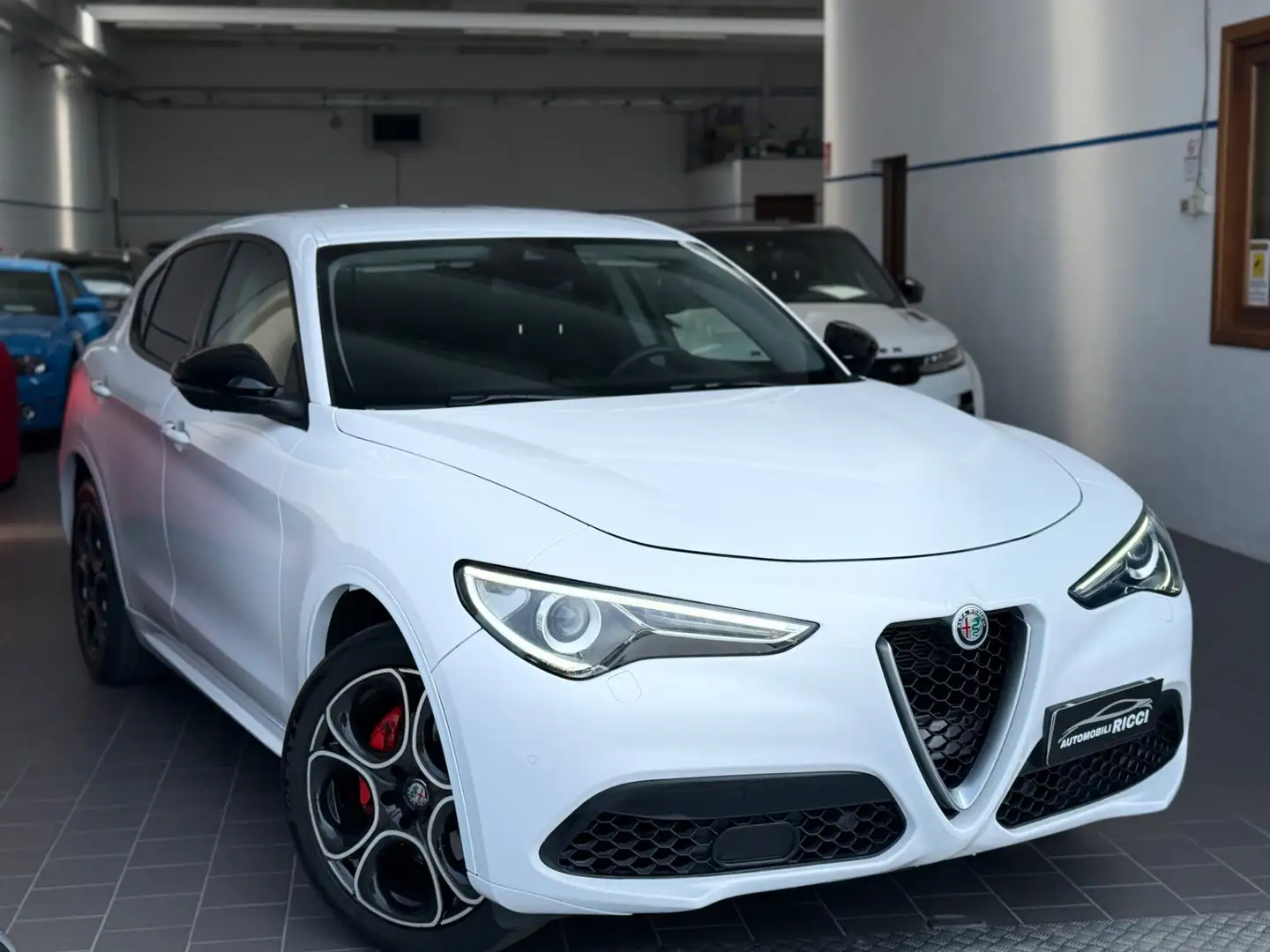 Alfa Romeo Stelvio 2.2 Turbodiesel 190 CV AT8 Q4 Super Bianco - 1